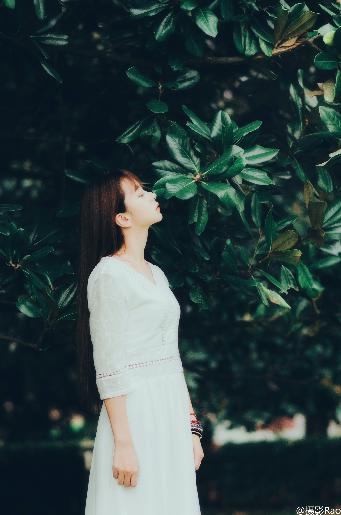 偷偷藏不住电视剧免费观看完整版高清