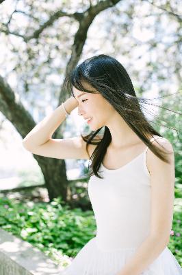 最新电视剧2025热播最火剧免费观看